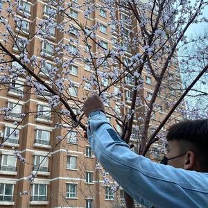 女生张开腿让男生甬的视频
